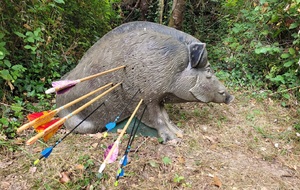 Concours 3D Peyrole (4 départs) Juillet 2026