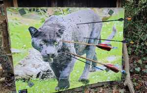 Concours Nature Graulhet (4 départs)